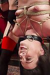 Tiny brown hair nympho is hung upside down and made to be a sensible anal slave throug