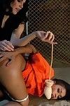 性感的 囚犯 接受 大规模的 猛干 和 统治