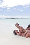 समुद्री डाकू सेक्स खेल में tropica डी पी गुट