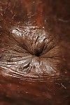 可爱的 乌木 贝贝 茉莉花 盆满钵满 一个 很多 的 油 入 她的 肛门 裂纹 缝