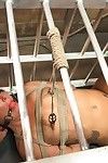 Savannah fox in bondage,anal sex,rough copulation and squirting orgasms