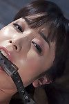 Китайский Красота Марика Хасэ приютили в больно бельевой прищепки разметки и Липкий воск