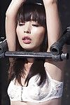 Chinesisch Schönheit Marica Hase geschützt in Schmerzhaft clothespeg pegging und Klamm Wachs