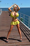 Abgerundet 3d Golden Behaarte Babe zeigt Ihr riesige mambos unter Bikini im freien Teil 1319