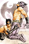 蝙蝠侠 和 猫女 原 法 的 爱情 注意到 漫画 一部分 457