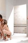 Hot lesbians Nadia Styles, Natalia Starr together with Extrinsic Diamond toying mortal physically