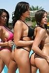 Three gorgeous MILF babes showing their shapely hooters in the pool