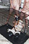 MILF babe Scarlett Pain gets tortured in bondage and fucked hard