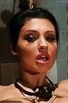 Busty babe Aletta Ocean ready for a rough BDSM games with toys