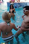 Horny babes in bikini sucking big cocks at the pool sex party
