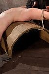 Amarna miller steps into hogtied with a slamming body. i rip her trashy little o