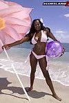Ebony big tits milf nikki jaye posing on beach