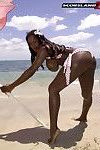 ebony ใหญ่ หัวนม MILF นิกกี้ Jaye แกล้งทำ บ ชายหาด