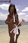 Ebenholz Big Titten Milf nikki Jaye posing auf Strand
