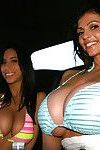 busty babes sind posing in Bikini zu rühmen der Ihre Big Titten