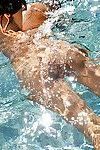 Ravissante Babe Avec bronzée La peau révélant Son gros Seins au l' au bord de la piscine