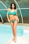 Bellezza Bruna in Blu bikini mostra Il suo Tette in il piscina