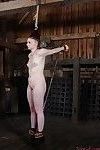 Most women can take a good flogging, but when it means taking the beating right