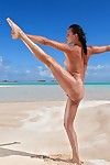 Pequeño tetas Erótica modelo Renee pérez se propaga mojado Coño amplia abierto en el Playa