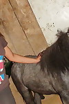 Rubia amateur Con Un Jugoso Culo & Coño Consigue Follada Mientras Visita Un pony Granja