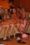 Роговой Колледж студенты участие в группа Секс Во время а Гавайские тематические участник