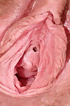 junge Brünette Jungfrau zeigt closeup Spitzen Brustwarzen & verbreiten Haarige pussy Lippen
