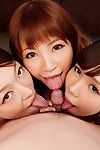 tres japonés chicas antojo Duro polla