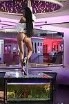 graciosa Morena Babe com longo pernas no Alta saltos dança striptease