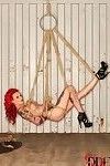 纹身 红发女郎 恋物癖 模型 贝琪 霍尔特 暂停 通过 绳子 对于 性虐待 拍摄