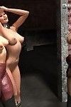 Dirty bitch with three tits fucks two babes in an alley