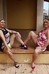 twee Biseksueel Duits huisvrouwen delen een guy