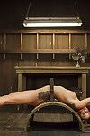 skinny Blond Fetish model Dallas Blaze gespannen op rack voor Kut flogging