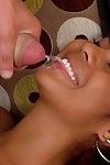 Latina cutie blows a big cock and gets her shaved pussy drilled tough