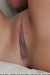 유럽 솔로 여자 apolonia 모델링 누드 에 무릎 양말 대 매력적인 사진